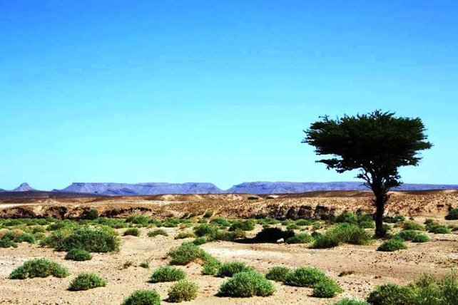 route to sahara desert